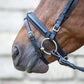 Signature Series Square Raised Padded Monocrown Dressage Bridle with Flash