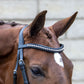 Signature Series Square Raised Padded Monocrown Dressage Bridle with Flash