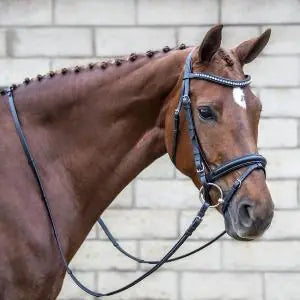 Signature Series Square Raised Padded Monocrown Dressage Bridle with Flash