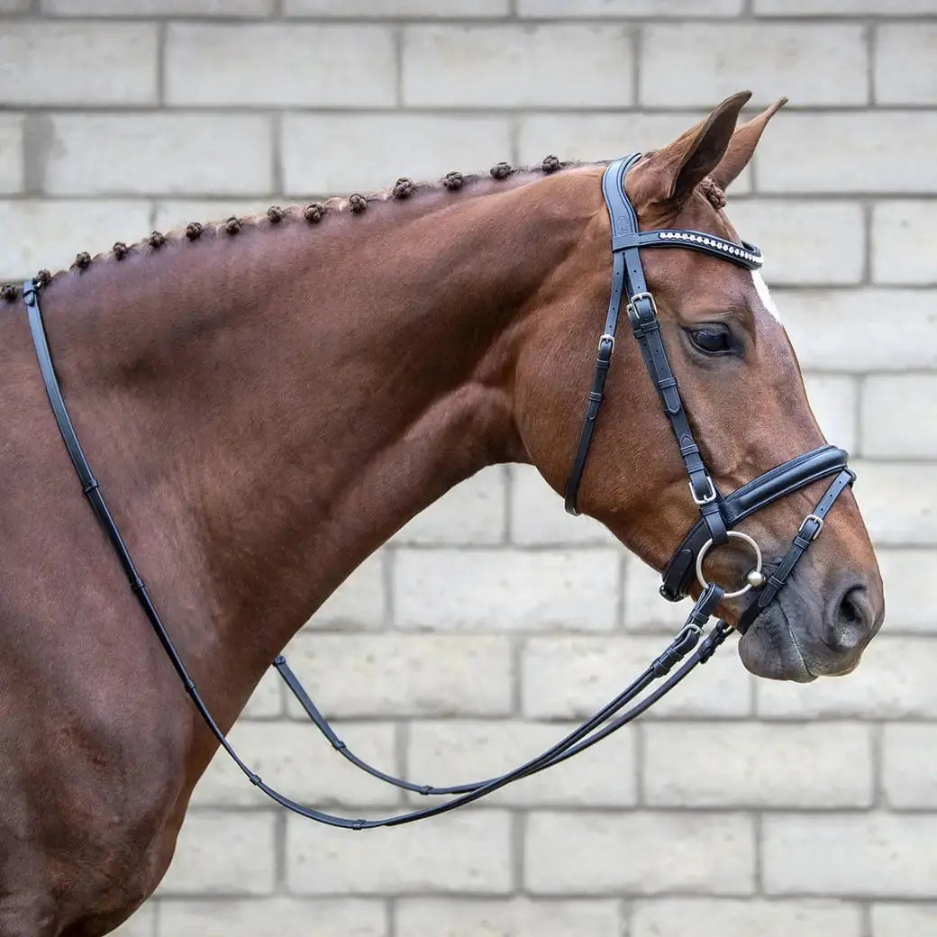 Bride De Dressage Monocouronne Rhinegold - Noire, Avec Manivelle Et Bandeau, Occasion