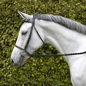 Silver Spur Fancy Stitched Raised Snaffle Bridle