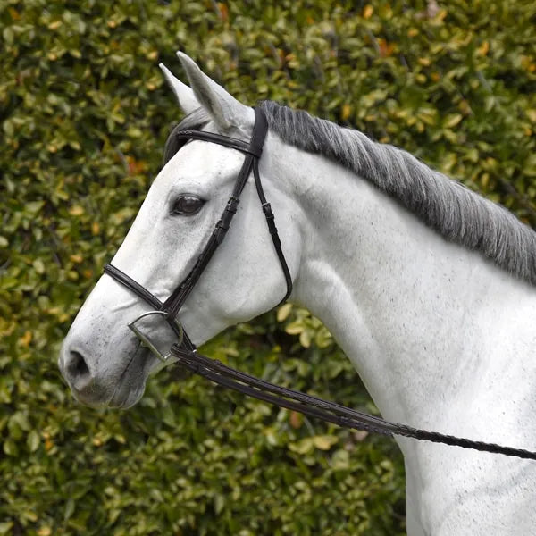 Silver Spur Fancy Stitched Raised Snaffle Bridle