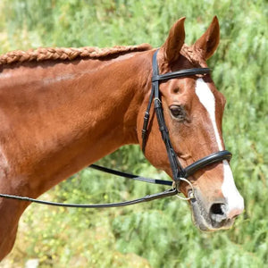 Silver Spur Heavy Duty Padded Snaffle Bridle