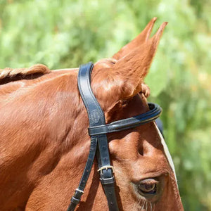 Silver Spur Heavy Duty Padded Snaffle Bridle Bobby's English Tack