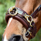 Silver Spur Leather Lunging Cavesson with Padded Noseband