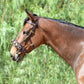 Silver Spur Leather Lunging Cavesson with Padded Noseband