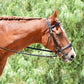 Silver Spur Raised Padded Bridle with Flash