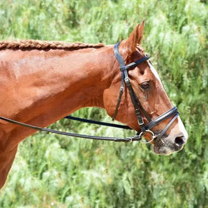 Silver Spur Raised Padded Bridle with Flash Bobby's English Tack