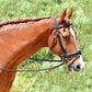 Silver Spur Raised Padded Bridle with Flash
