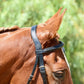 Silver Spur Raised Padded Bridle with Flash