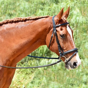 Silver Spur Raised Padded Bridle with Flash