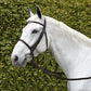 Silver Spur Raised Snaffle Bridle