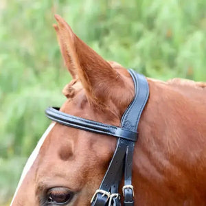 Silver Spur Weymouth Padded Crank Dressage Bridle Bobby's English Tack