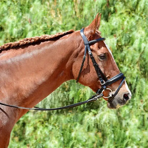 Silver Spur Padded Crank Dressage Bridle with Flash