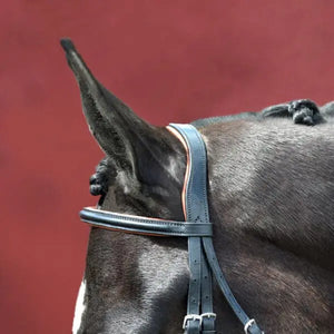 Silver Spur Padded and Raised Snaffle Bridle with Flash