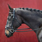 Silver Spur Padded and Raised Snaffle Bridle with Flash