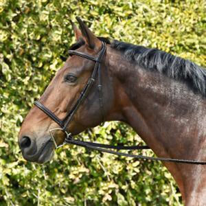 Silver Spur Fancy Stitched Padded Monocrown Snaffle Bridle